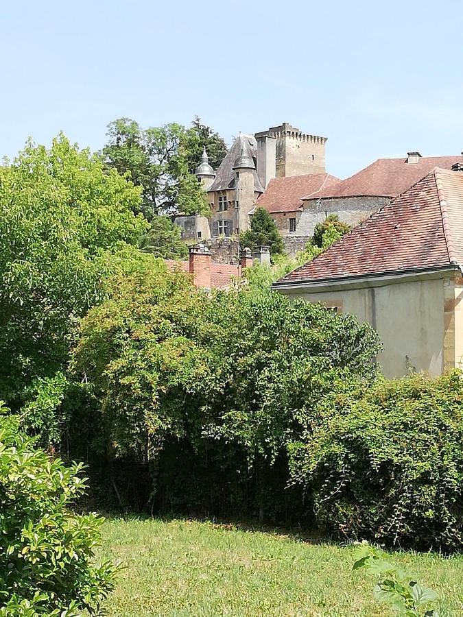 Vue Du Chateau D'Excideuil En Chambres Kültér fotó